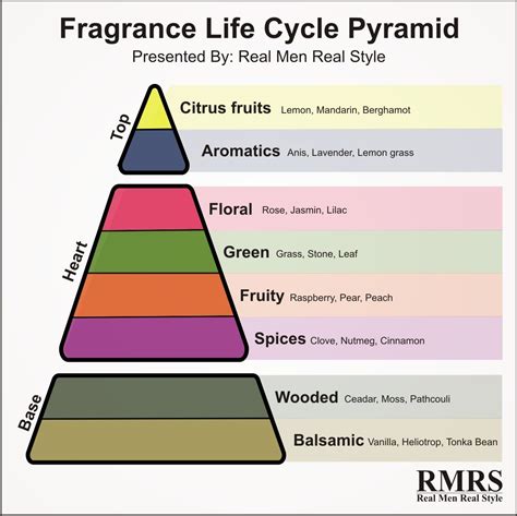 fragrance pyramid diagram.